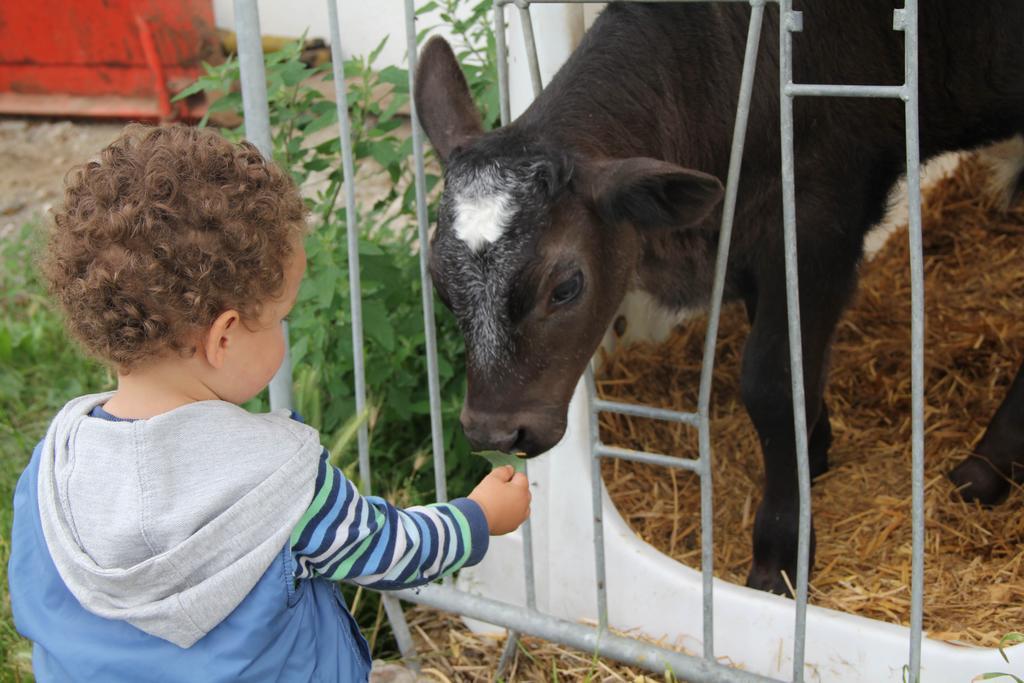 Spisserhof Chiusa Eksteriør bilde